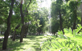 Мэр Ярославля поблагодарил "Сколково" и ВЭБ.РФ за помощь по проекту создания биопарка