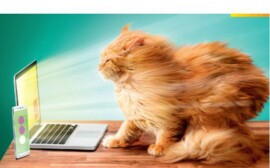 «Дом.ru» и «МегаФон» предложили «Успеть за интернетом»