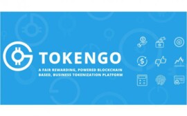 Возможности блокчейн-платформы TokenGO
