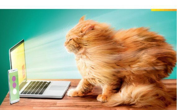 «Дом.ru» и «МегаФон» предложили «Успеть за интернетом»