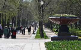 В Ярославле проект пешеходного центра города разработают за 38,8 млн рублей