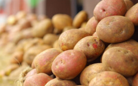 В Ярославской области фермерскую продукцию начнут продавать в сети «Пятерочка»