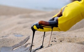 В Ярославле обнаружено масштабное нефтяное загрязнение