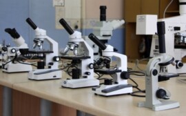 Ярославские школы получат новое научное и спортивное оборудование